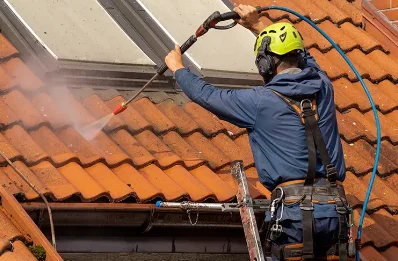 Démoussage et hydrofuge de toiture au Palais